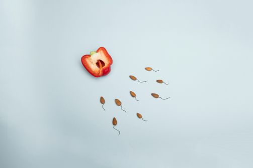 Carnivore Diet and PCOS: Can It Help? A woman with PCOS considering the carnivore diet.